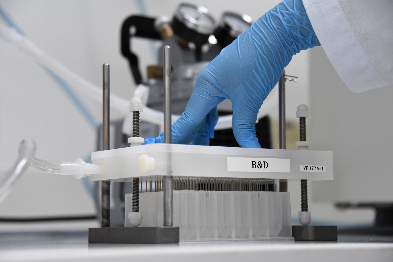 lab